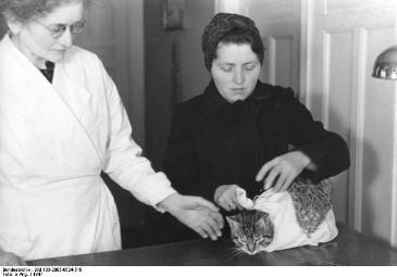 Pictured is a woman with her cat at a Berlin, Germany veterinarian's office in 1947. 